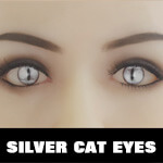 Silver Cat